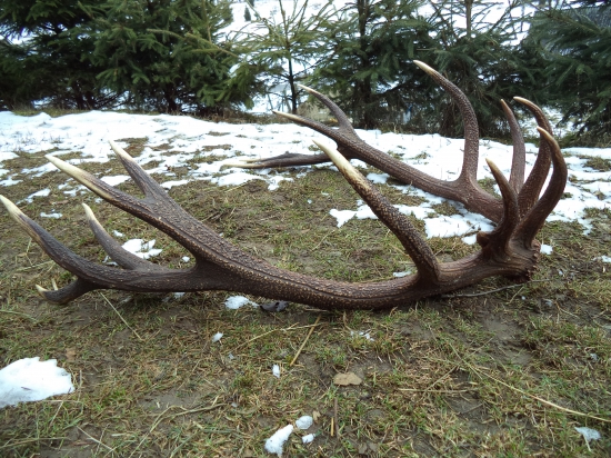 ešte z iného uhlu ID257014