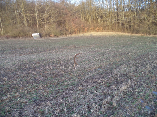 pohľad na nezaplatenie..