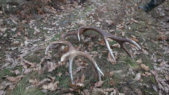 Pekná prechádzka..