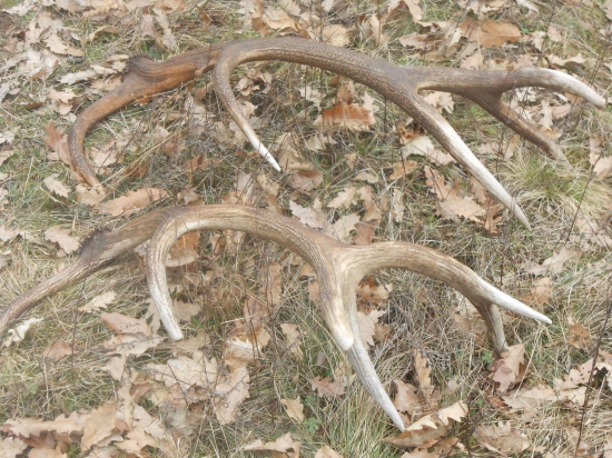 Pekná prechádzka..foto č.2