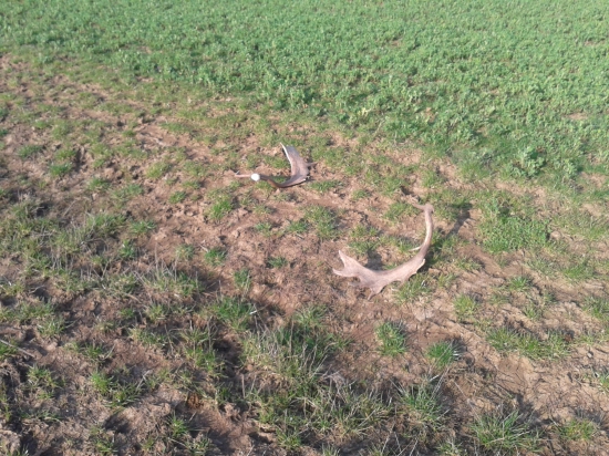 Na parádu.. Ukážkovo zhodené