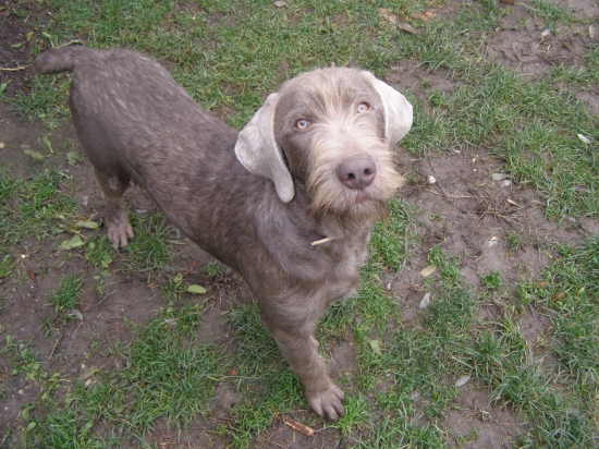 Dan ( D.J. Acta Non Verba) SHS 6 mesiacov este jedna