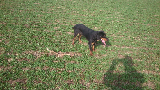 Dnešný 6-toračik :)