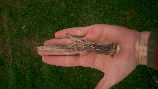 Môj prvy velmi potešil :)