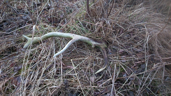 Tak takýto začiatok som si nepredstavoval :D