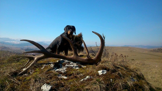 Tak aj na mňa sa už usmialo šťastie :)