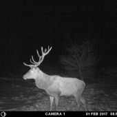 Prišiel sa ukázať