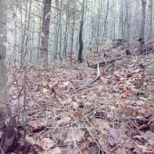 Jesenačik