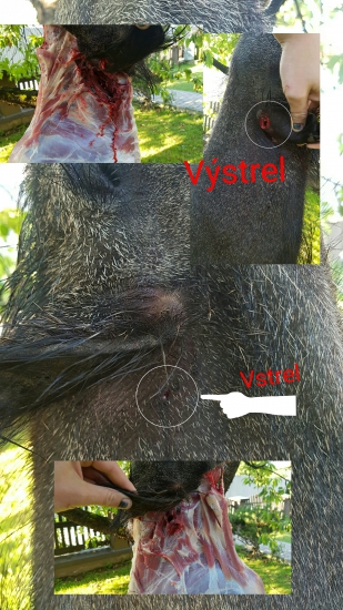 Norma oryx 9,7g 270win