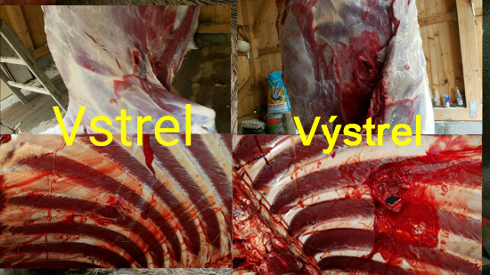 Norma oryx 9,7g 270win