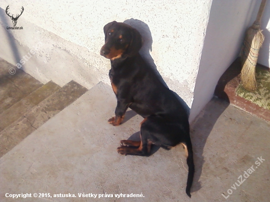 astika2