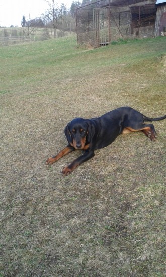 astika2(heda biela studna)9 mesiacou