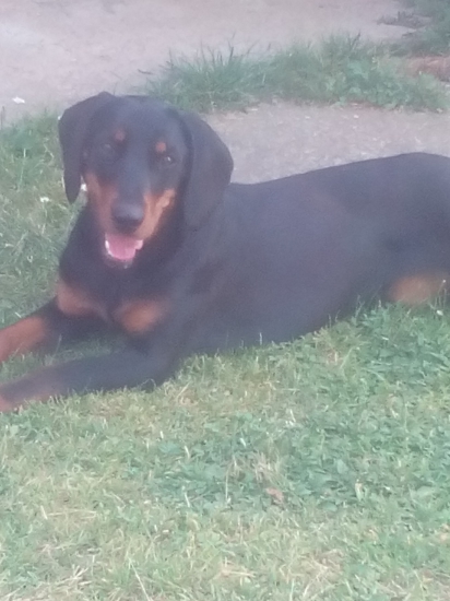 astinka2 heda biela studna