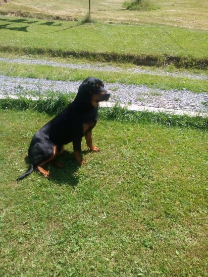 BEN FERA DEUS ma 13mesiacou