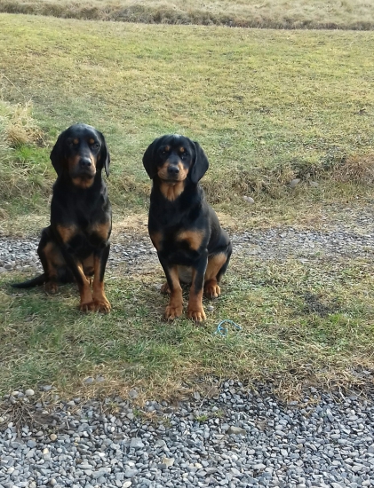 Ben fera deus a CHerry z Halče