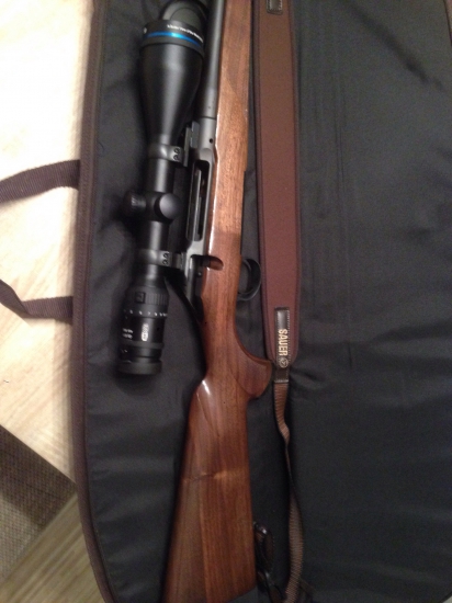 Sauer 101