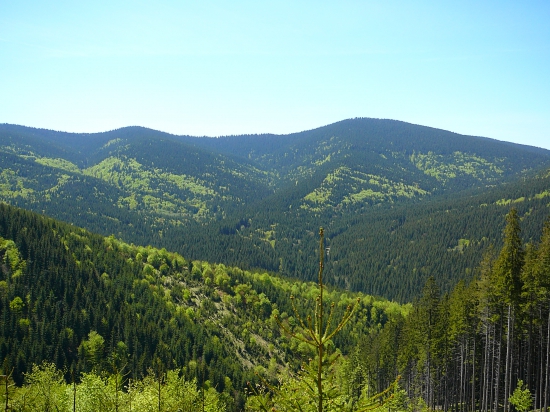 Paráč