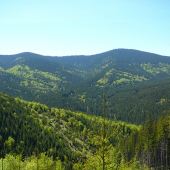 Paráč