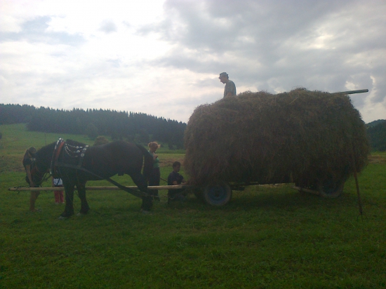 Ako za dávnych čias