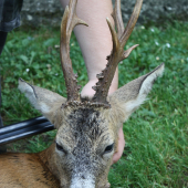 vzpomínka na rok 2012