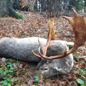 Při ranním deštivém počasí