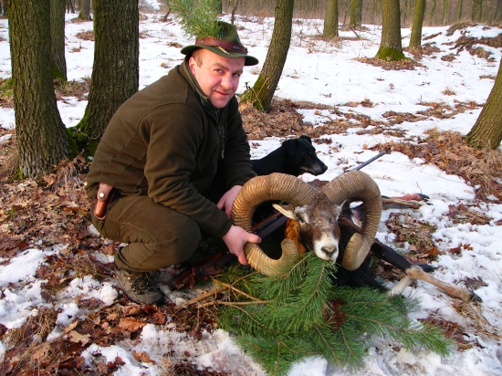 Beránek