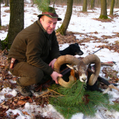 Beránek