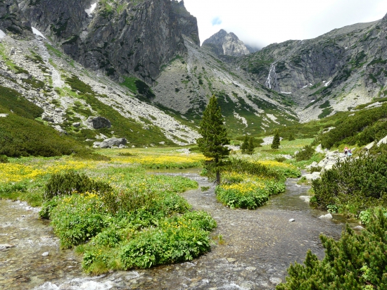 Tatranska priroda