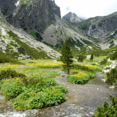 Tatranska priroda