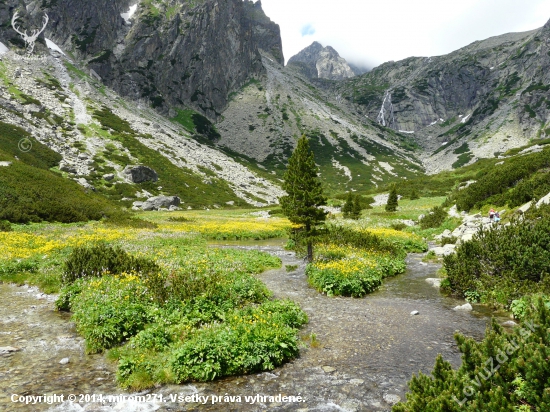 Tatranska priroda