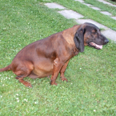 Linda