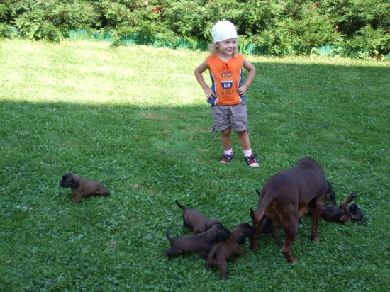 Linda-Brixi Olšovy Jarok