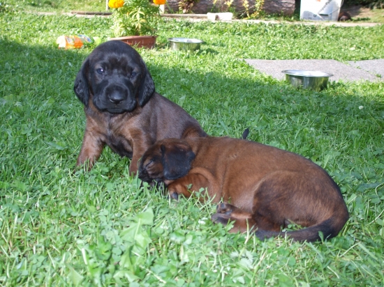 Linda-Brixi Olšovy Jarok