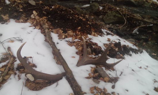 Nečakaný , pár k ID :331179