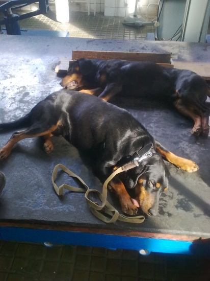 takto sme si pospali po rontgene ...