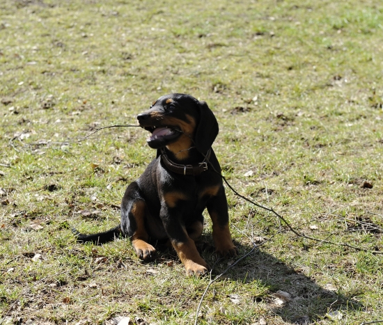 keď som mal dva mesiace :)