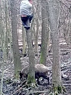 skúška z odvahy v oplotku :)