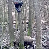 skúška z odvahy v oplotku :)