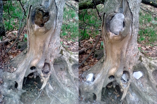 a môžu pokračovať v lízaní...