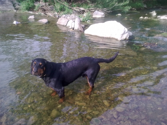 musím sa schladiť, teplý máj ...