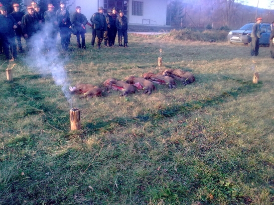 spoločná