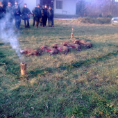 spoločná