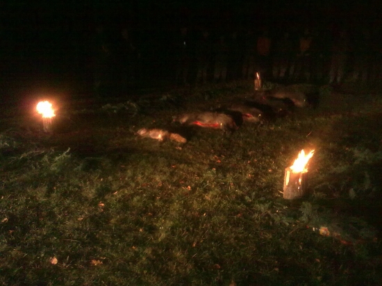 večerný výrad ...