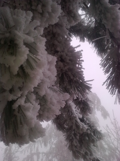 romantika na spoločnej ...