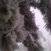 romantika na spoločnej ...