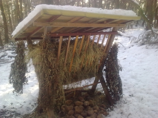 môžu si vybrať ...