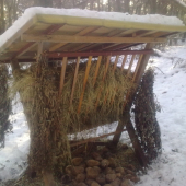 môžu si vybrať ...