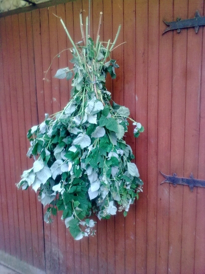 prvý zväzok letniny(malinčie) je na svete ...