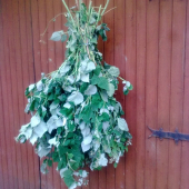 prvý zväzok letniny(malinčie) je na svete ...