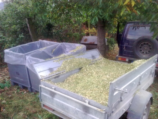 a bude aj trochu (domácej :)siláže